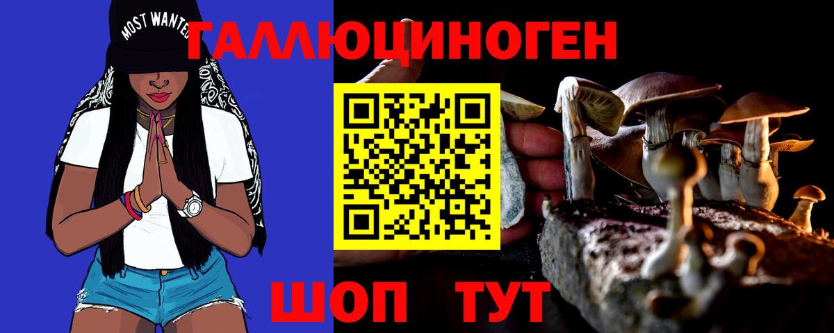 Галлюциногенные грибы Psilocybine cubensis  Вход с VPN  Псилоцибиновые грибы Cubensis  Коркино 